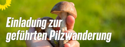 Einladung zur geführten Pilzwanderung